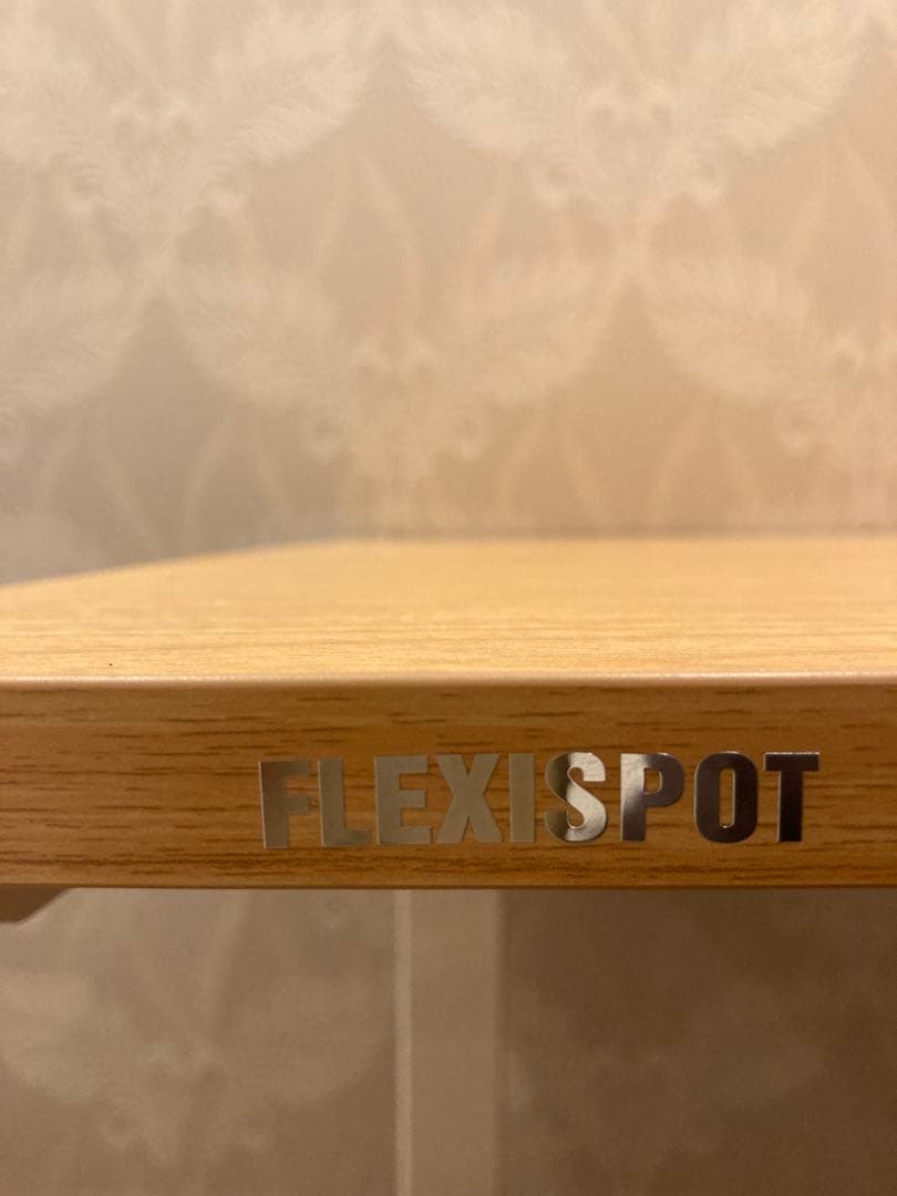 電動昇降式デスク　Flexi Spot E9（脚ホワイト+天板メープル）
