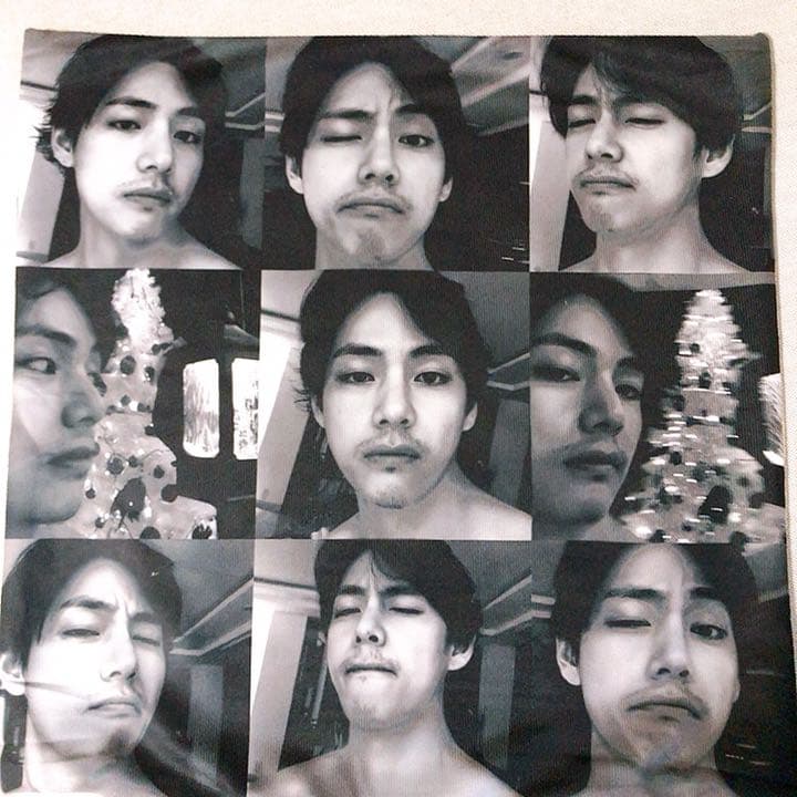 BTS テテ クッションカバー ふわさら 45