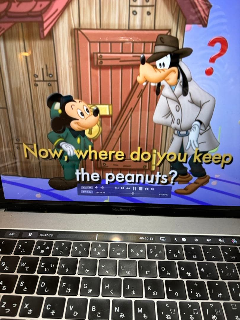 ディズニー英語システム　DVD CD シングアロングセット　正規購入　DWE