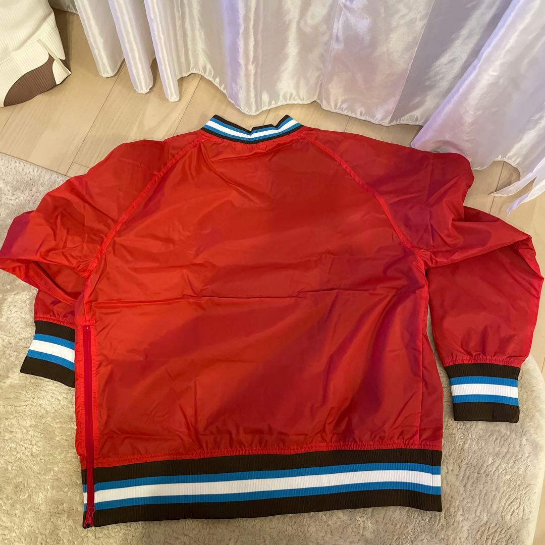 チャンピオン　Vネックプルオーバー　ナイロン