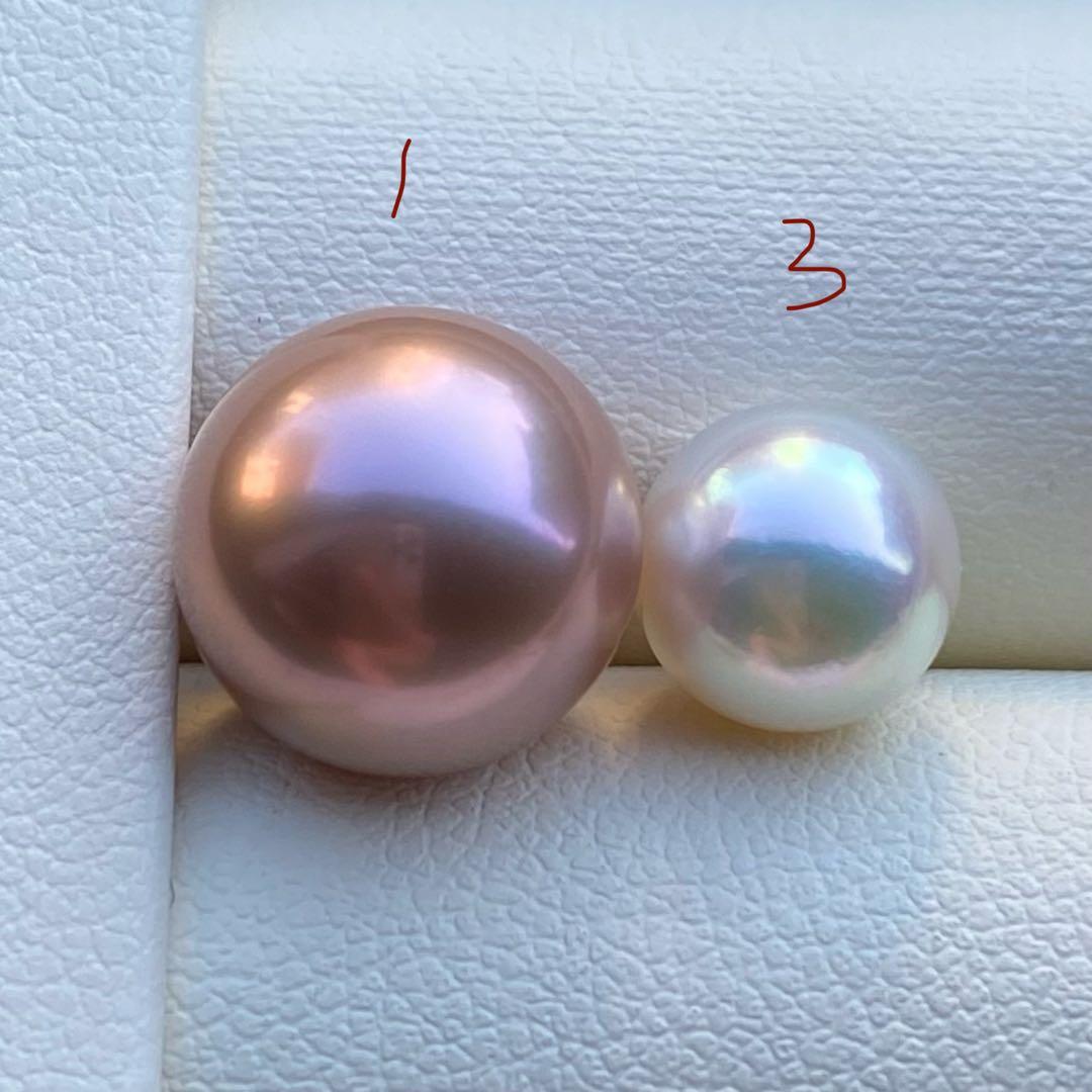 こたつねこ様　ご確認専用ページ251226