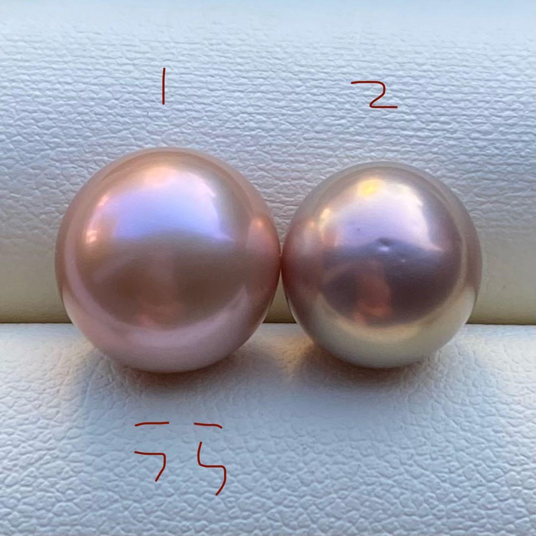 こたつねこ様　ご確認専用ページ251226