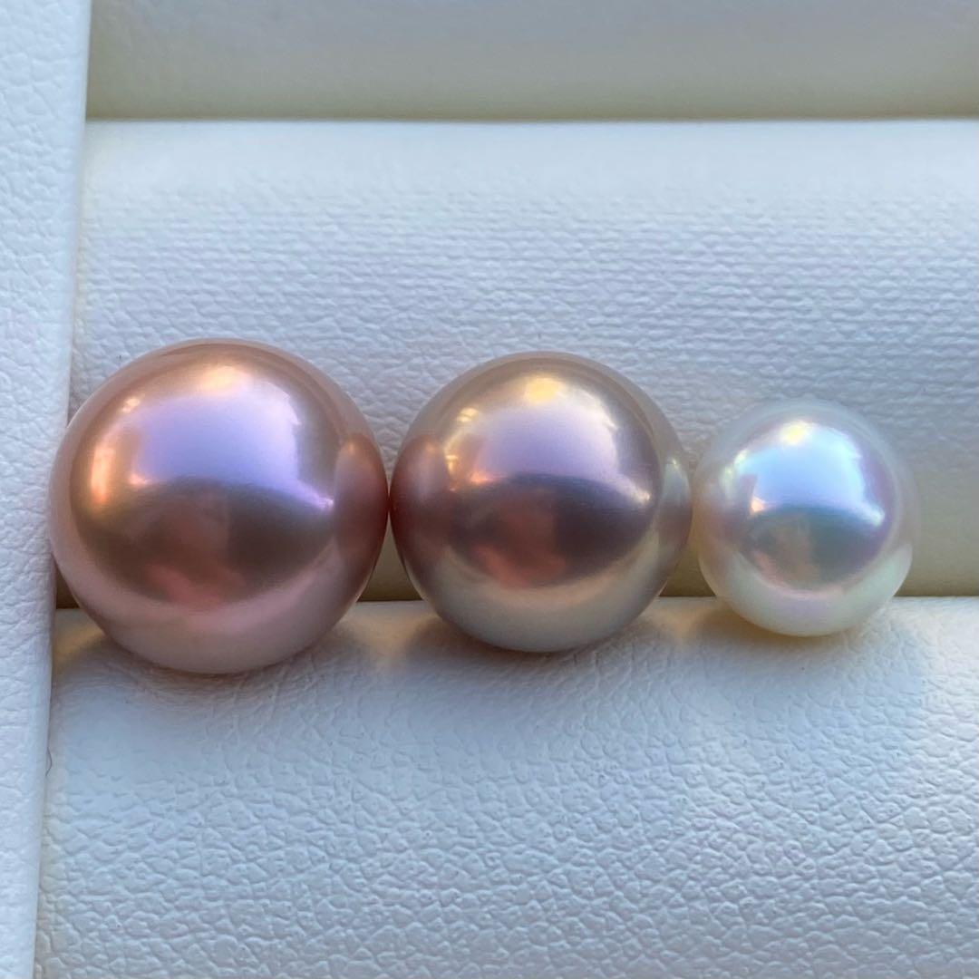 こたつねこ様　ご確認専用ページ251226