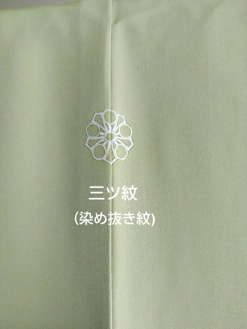 T-293 色留袖 寿光織 樹木 風景 袷 三ツ紋 暈し 金銀糸 美品