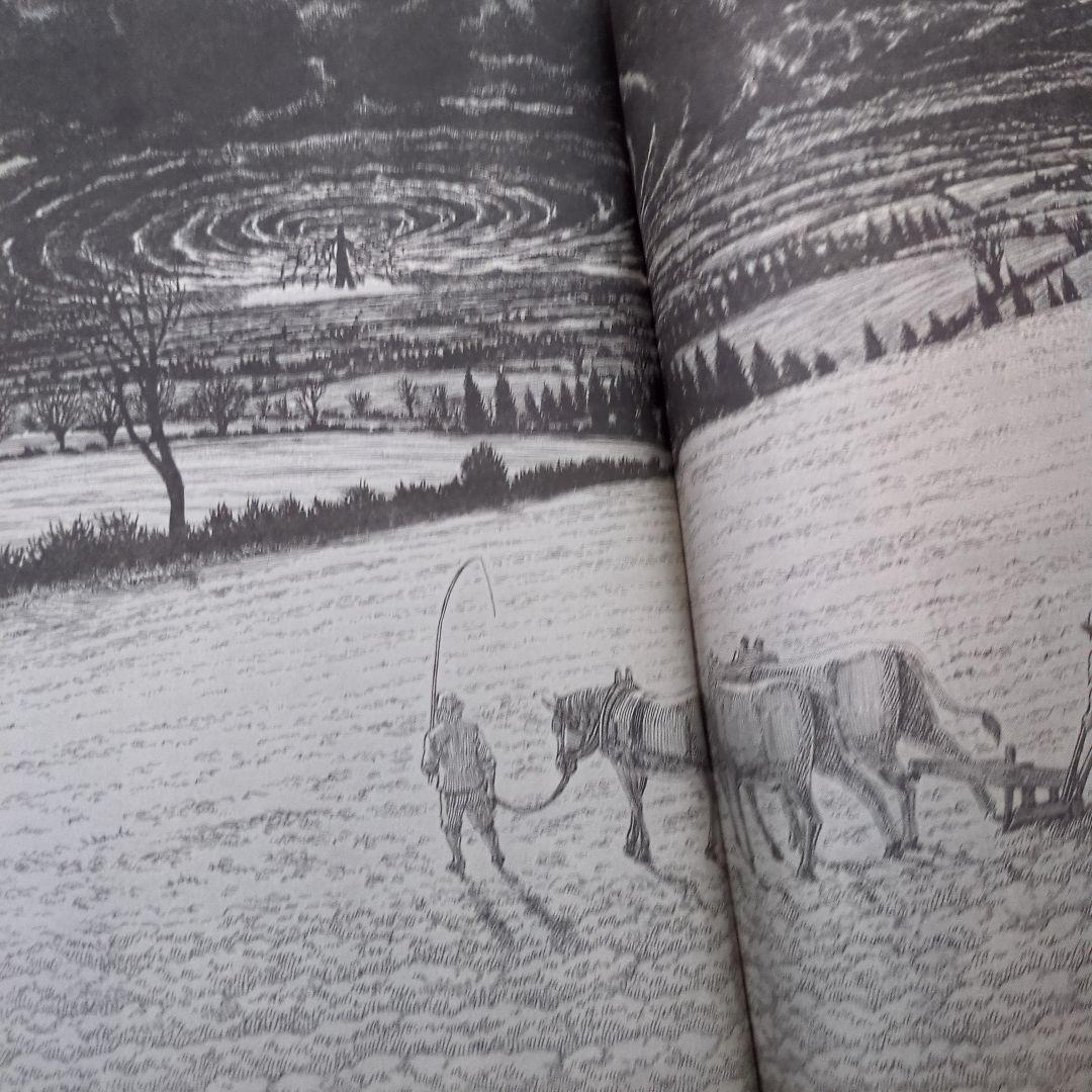 ヤングアニマル2008.11.14　ベルセルク特別カバー付録有り