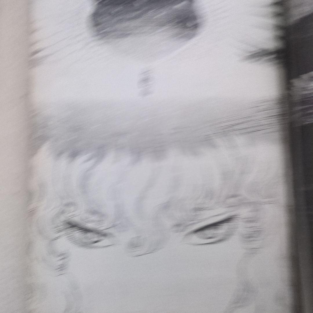 ヤングアニマル2008.11.14　ベルセルク特別カバー付録有り