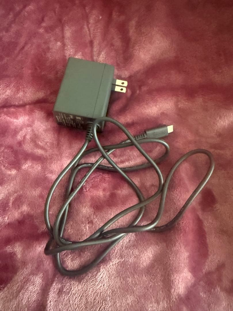 Nintendo Switch Lite ピンク 本体とゲームカード付き