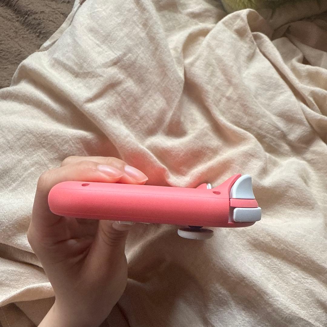 Nintendo Switch Lite ピンク 本体とゲームカード付き