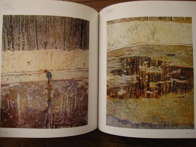 画集　 Peter Doig　ピーター・ドイグ