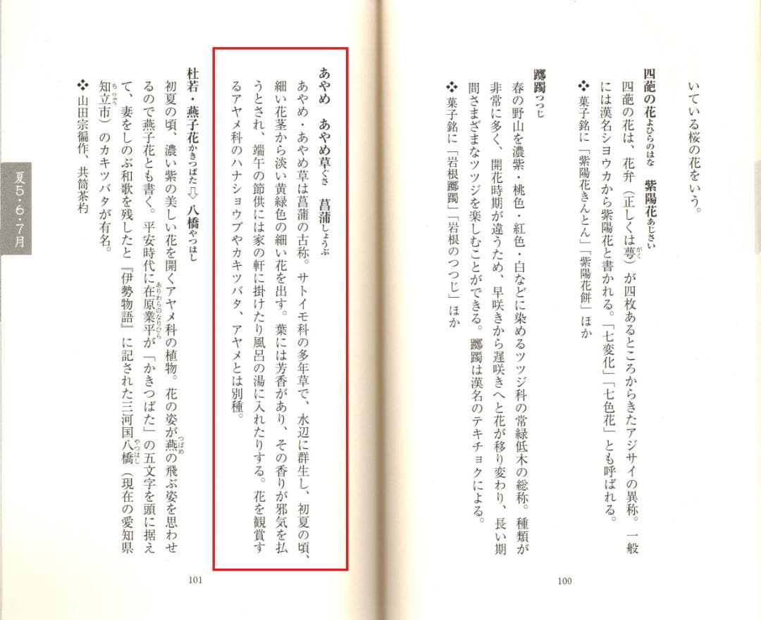 村瀬雙石自筆『菖蒲絵』掛軸（時代箱・二重箱）