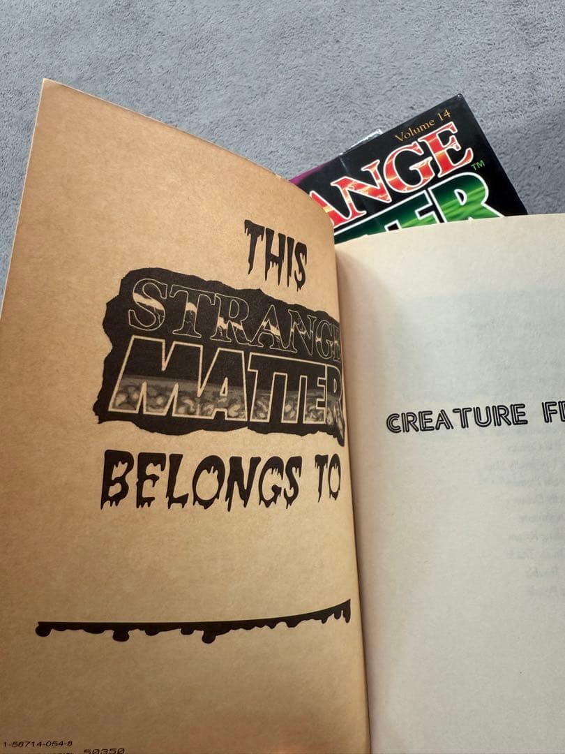 bumps R.L.STINE 他20冊セット ホラー 児童書 洋書