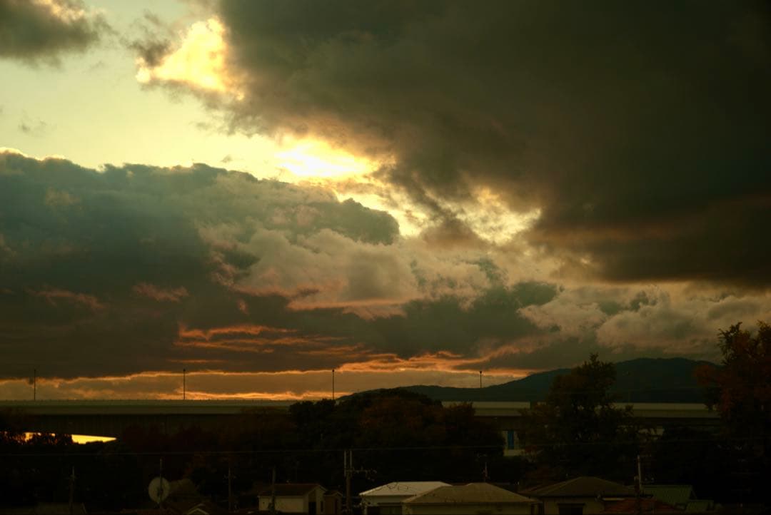 希少品❗️作例付き❗️Zunowの中判レンズ　zuminor 7.5cm f3.5