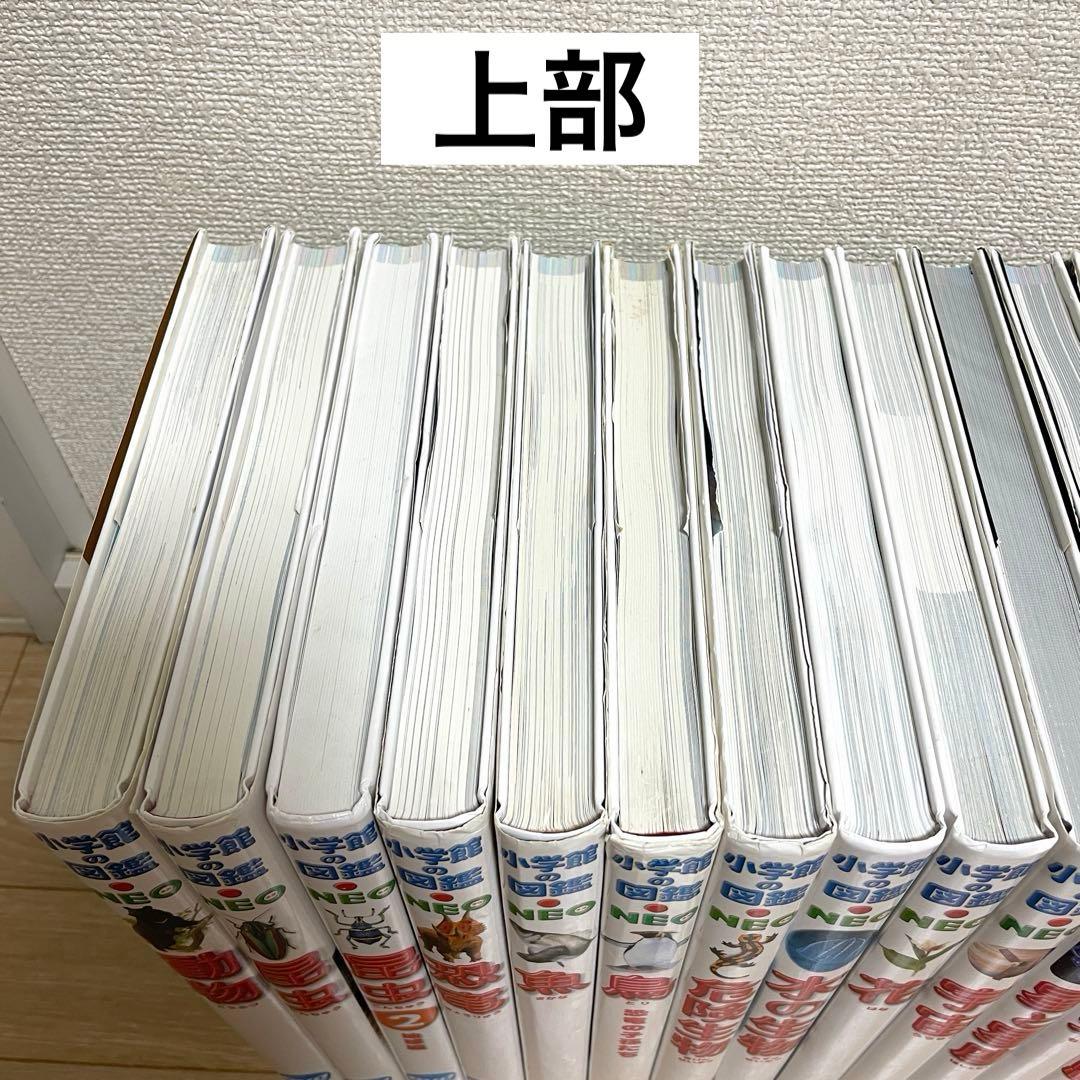 【DVD無し】小学館の図鑑neo 20冊まとめ／自由研究・知育本／図鑑中古本