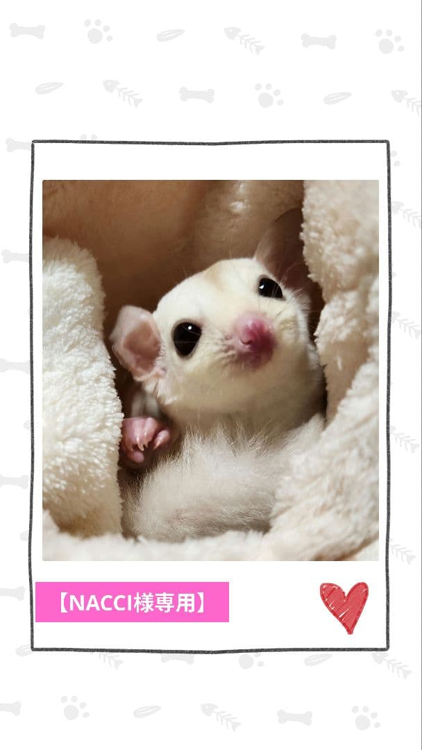 【NACCI】モモンガポーチ