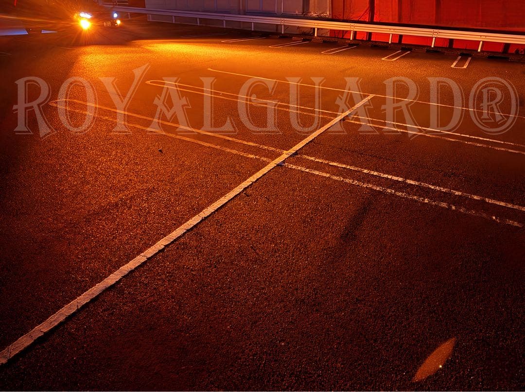 2026年　ロイヤルガードオメガ LEDフォグ アンバー　H8 H11 H16