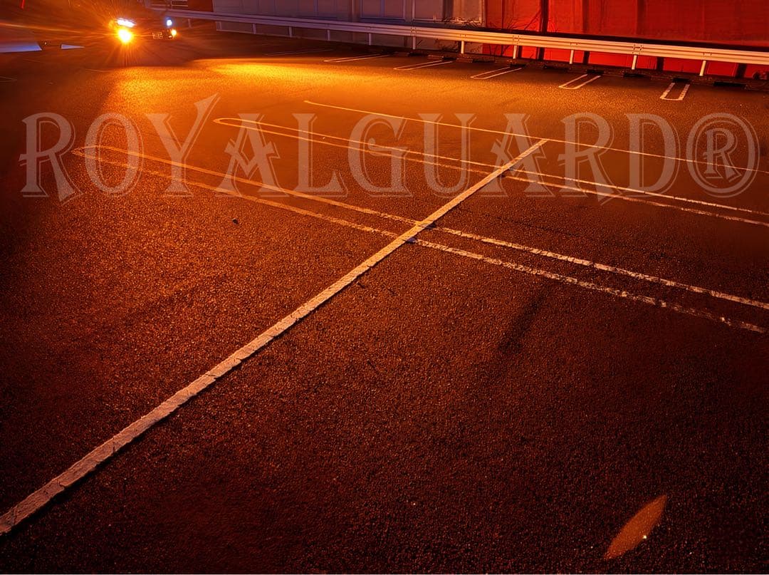 2026年　ロイヤルガードオメガ LEDフォグ アンバー　H8 H11 H16