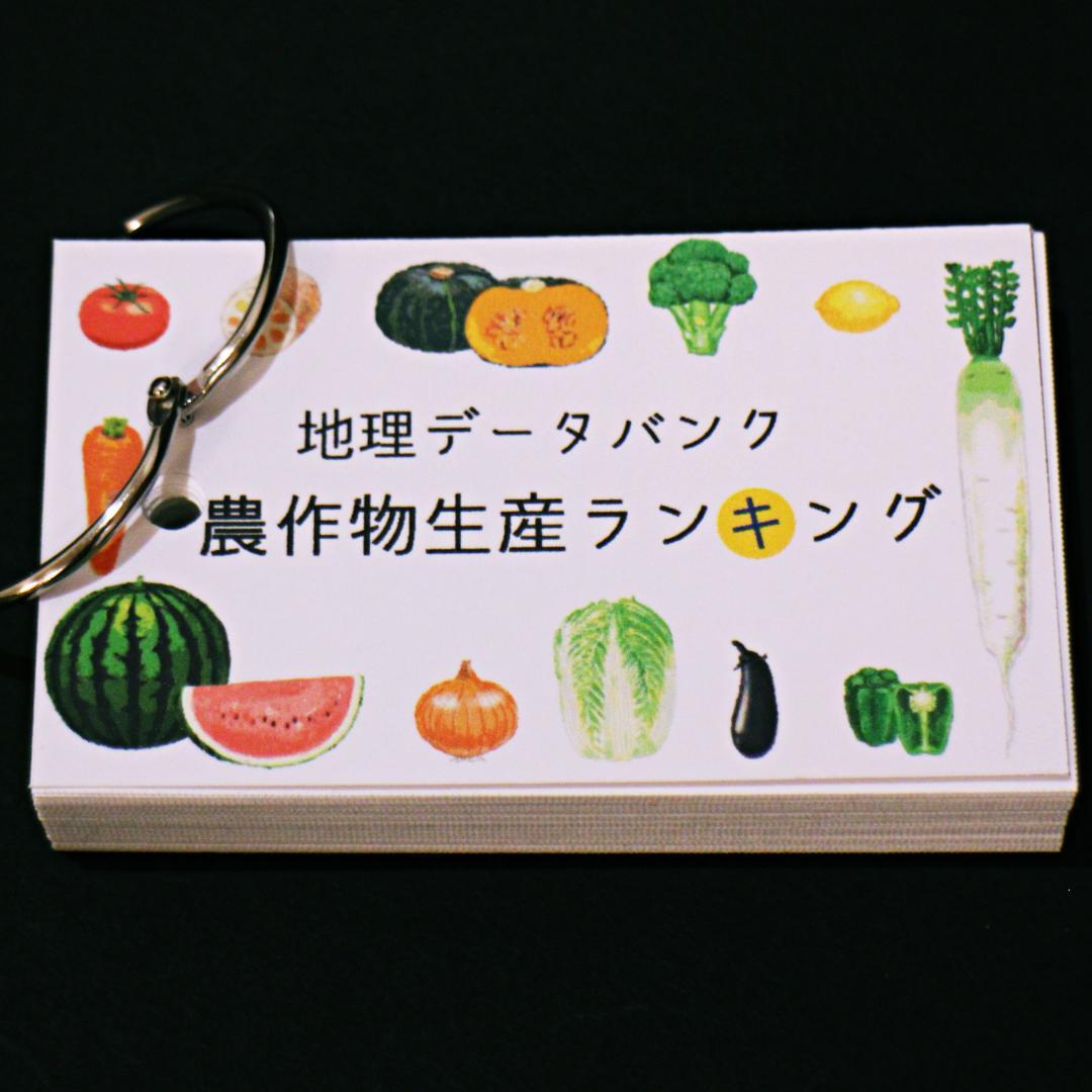 ミント様 リクエスト 4点 まとめ商品 中学受験　暗記カード