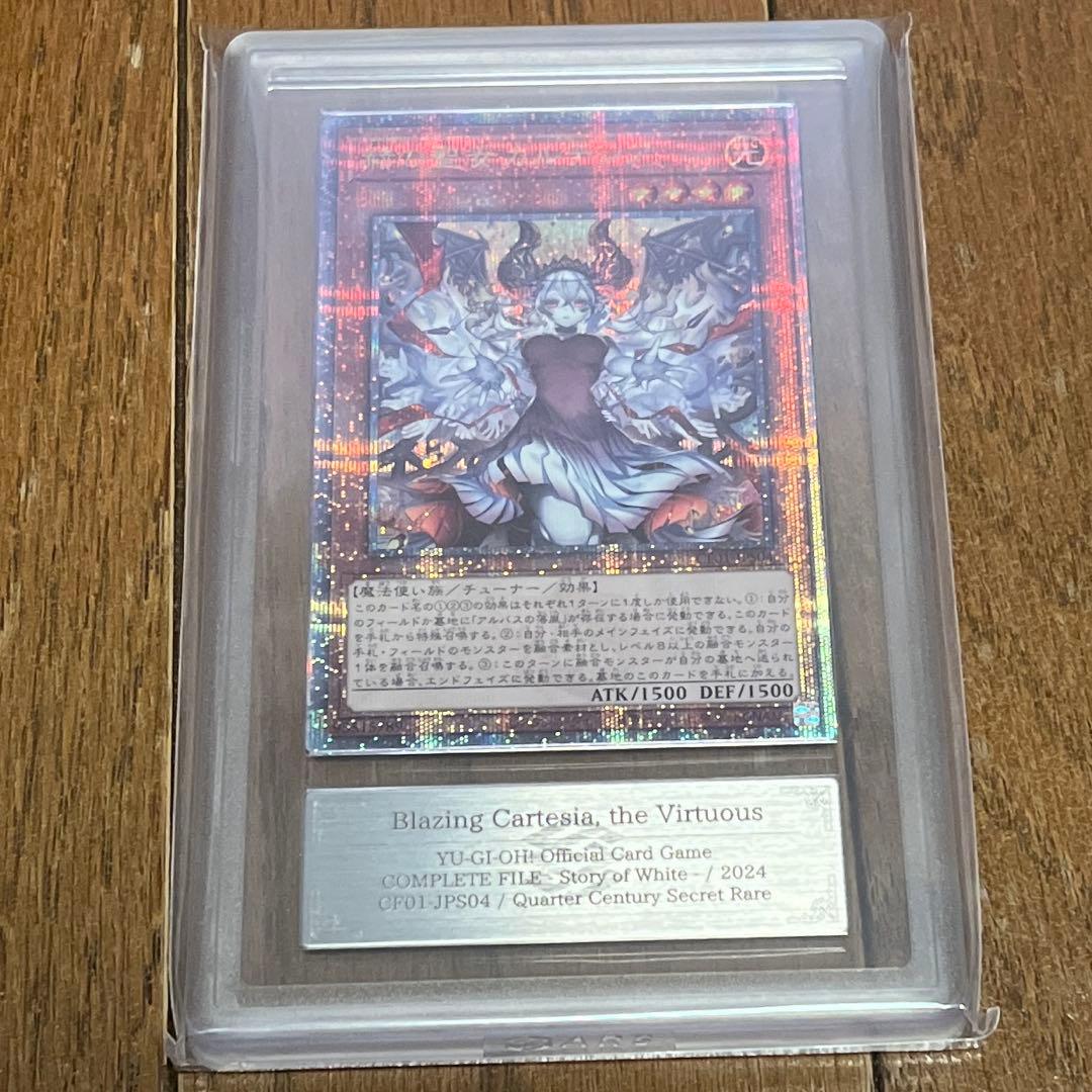 d*3様 【ARS10+】赫の聖女カルテシア 25th