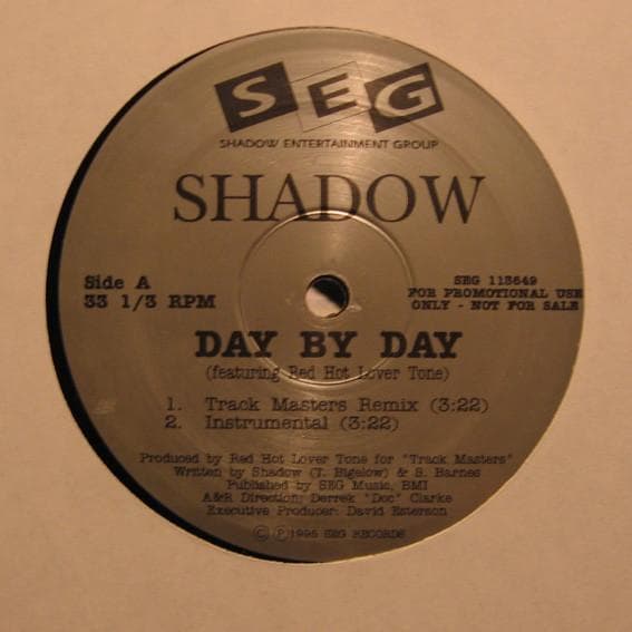 DAY BY DAY / THE ABYSS SHADOW レコード