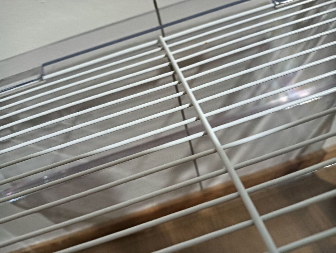 bucatstate ケージ