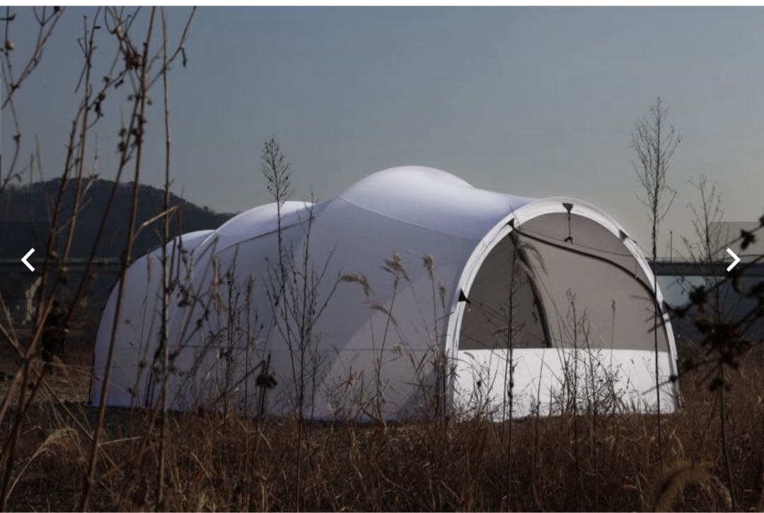 groundcover MOLE.T HAUS MAX WHITE バラ売り可