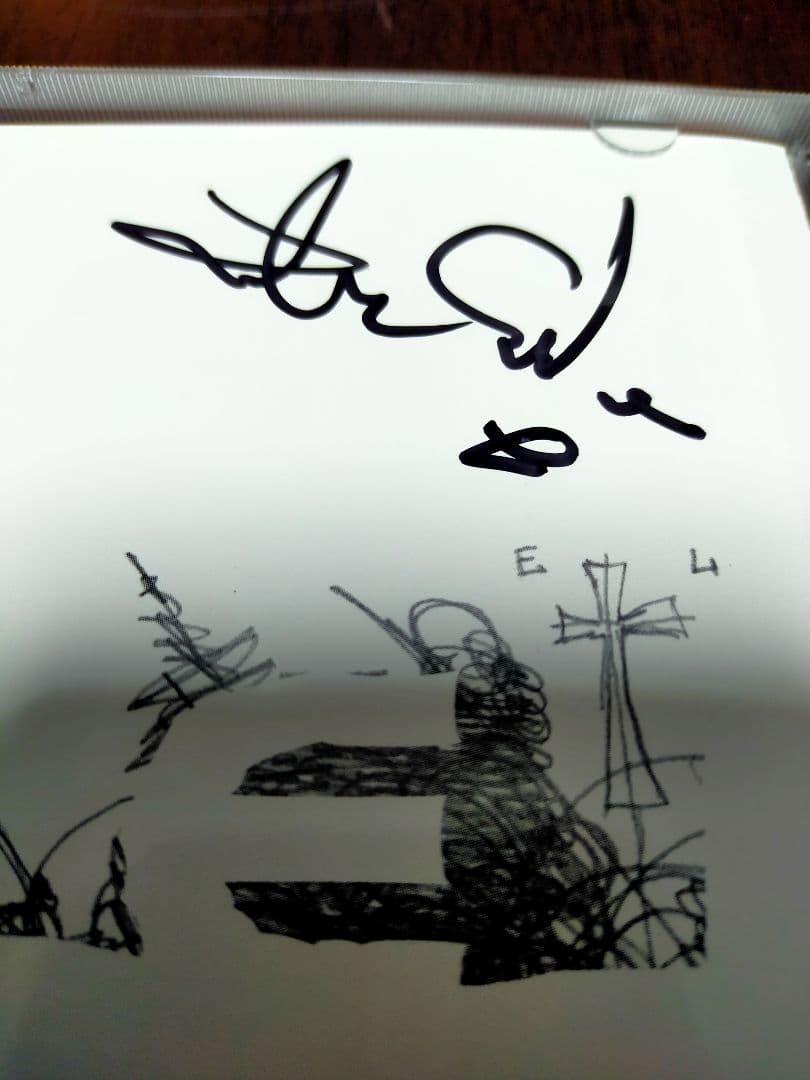 ENDS/HI UNPLUGGED WHITE BEATサイン入り エンズ