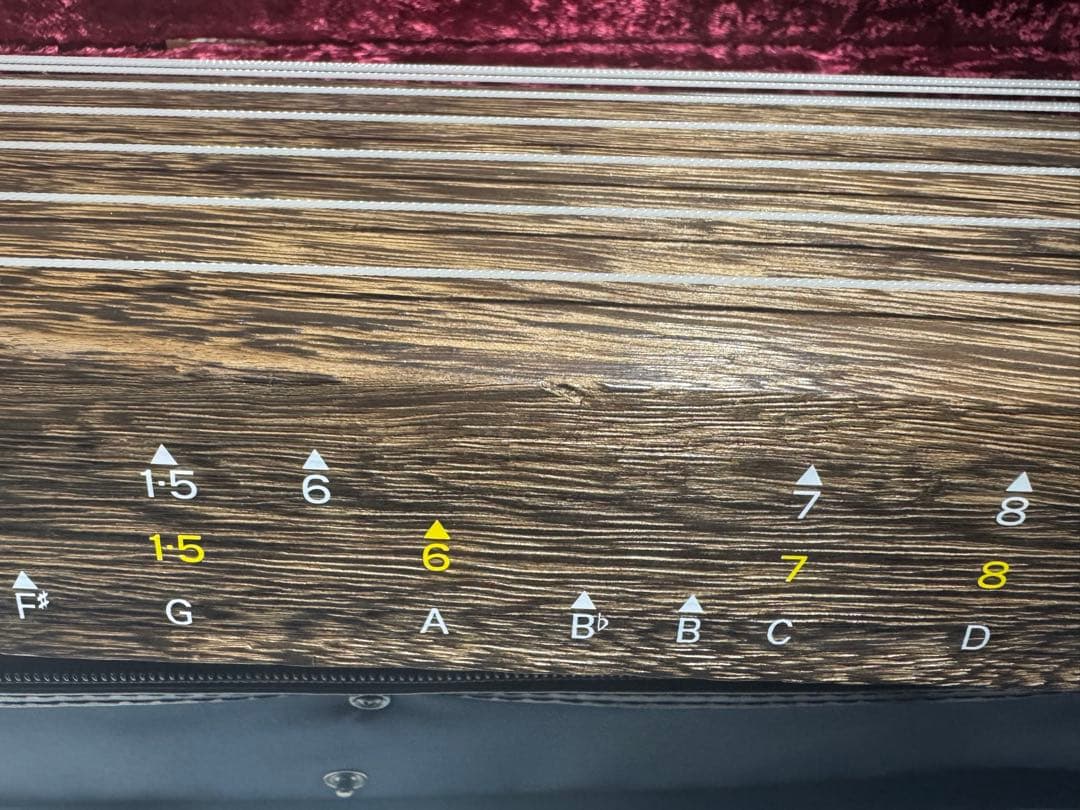 ゼンオン 文化箏 文化琴 13弦 楽器 和楽器 ソフトケース付