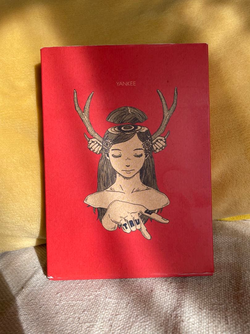 米津玄師 YANKEE 画集