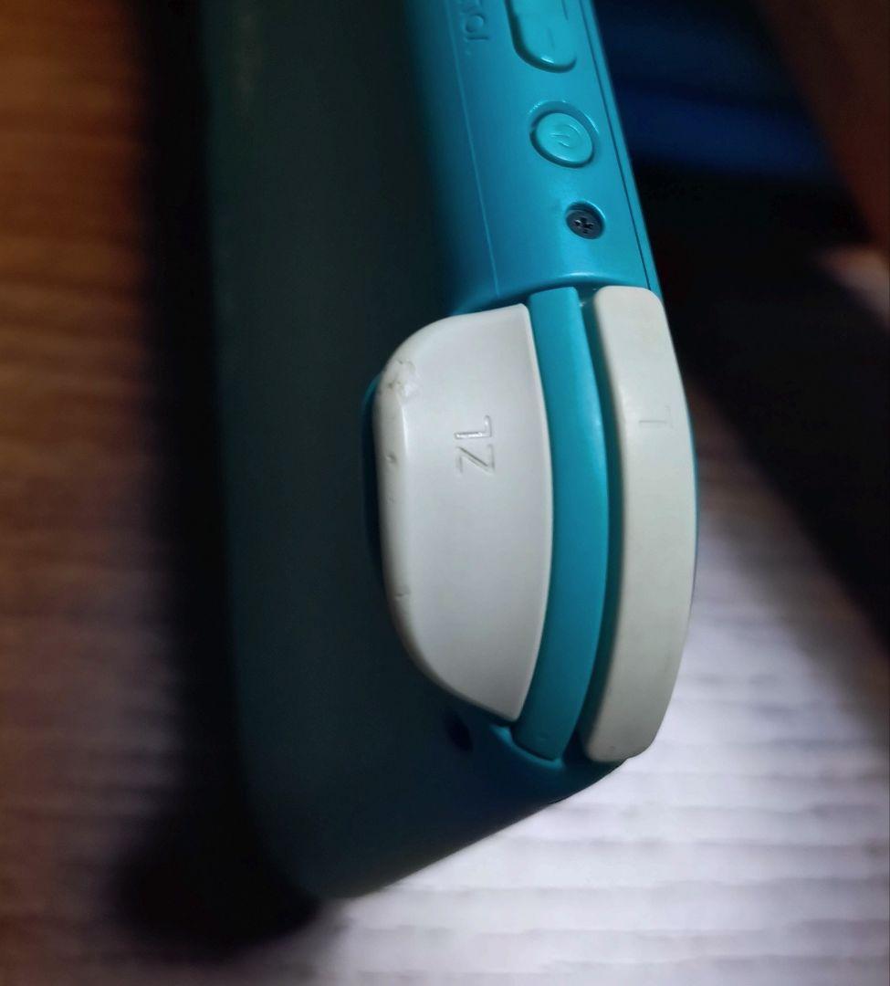 Nintendo Switch Lite本体 ターコイズ 専用ケース付き