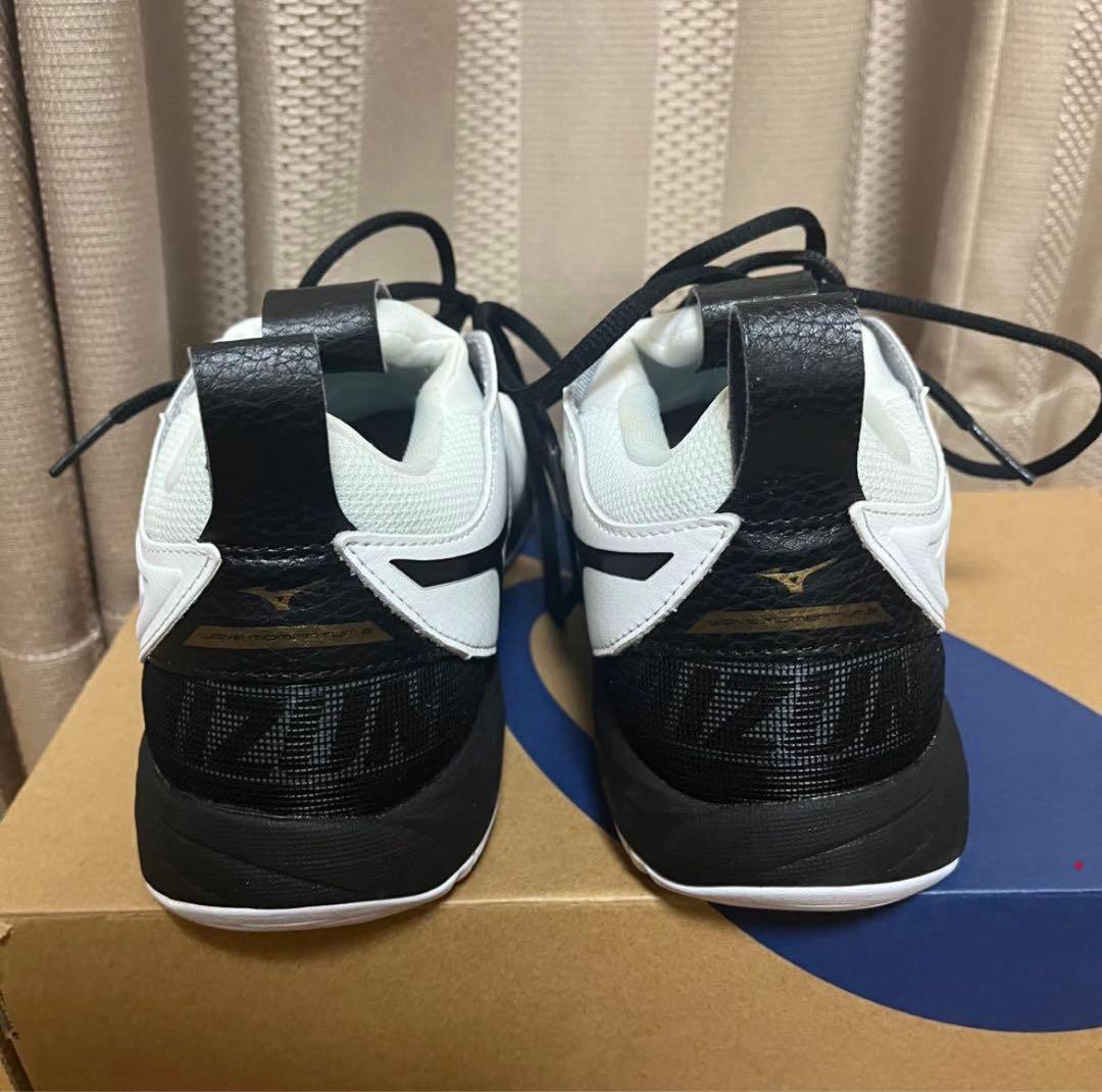 バレーボール　シューズ　バレーシューズ