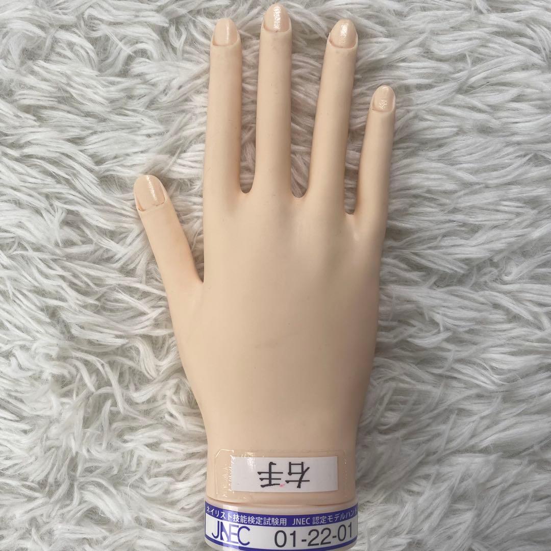 JNEC認定モデルハンド 両手　消耗品セット