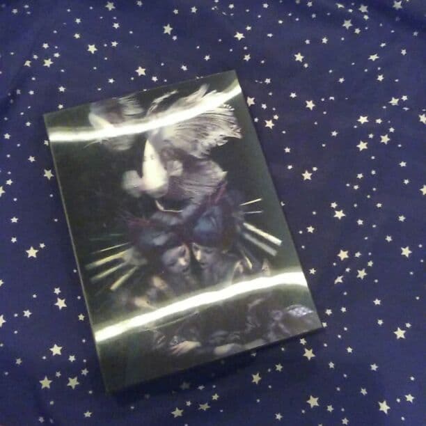 The  GazettE  MERT 初回数量限定版DVD