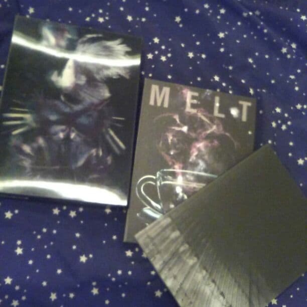 The  GazettE  MERT 初回数量限定版DVD