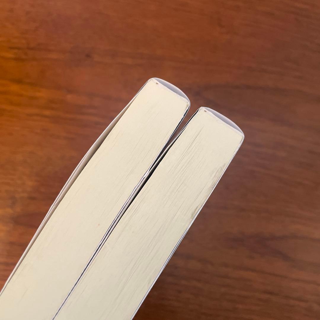 Y*I様 メディアの支配者 上　下