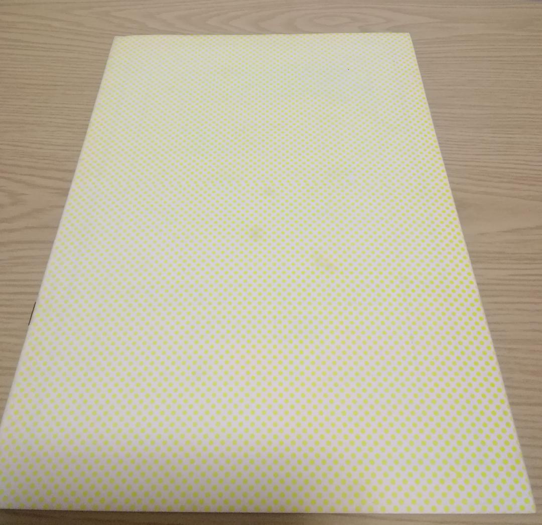 (レア)映画パンフレット　「殿方ごろし」　ソフィア・ローレン