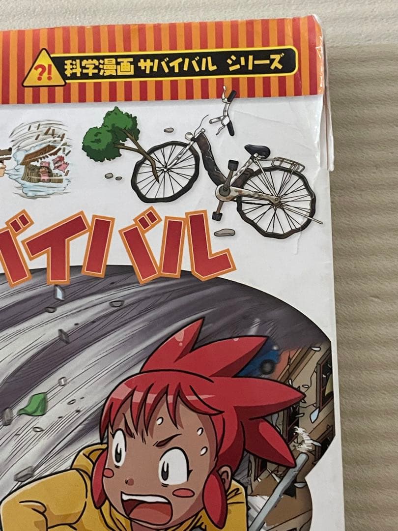 サバイバルシリーズ