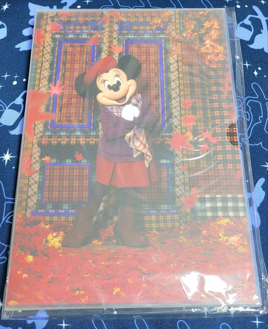 ディズニーイマジニングザマジック蜷川実花撮影ミニー写真集&バッグ2種セット