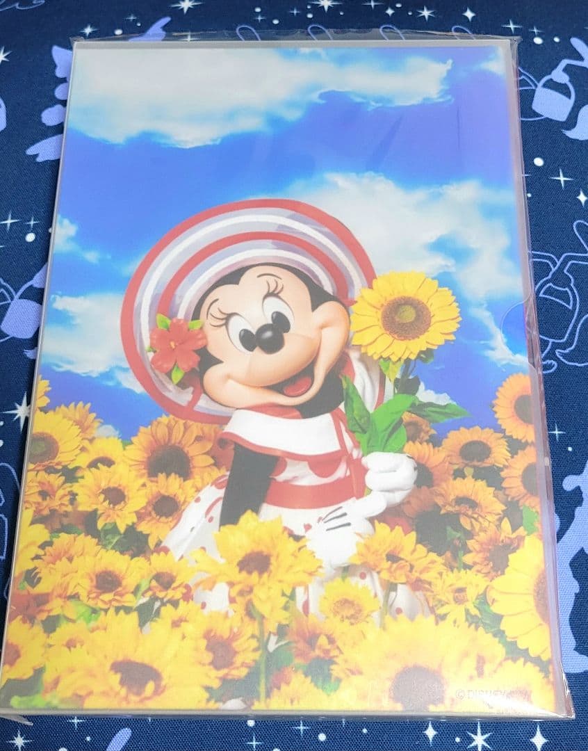 ディズニーイマジニングザマジック蜷川実花撮影ミニー写真集&バッグ2種セット