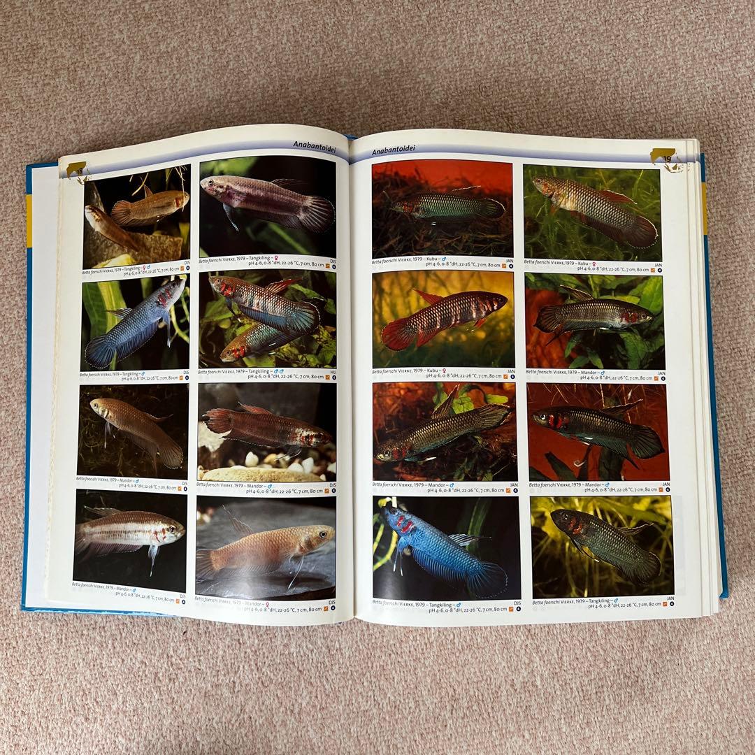 洋書　Freshwater Aquarium Fishes 淡水魚　大型本