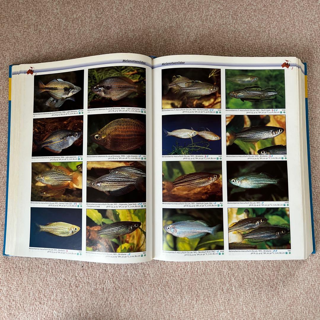 洋書　Freshwater Aquarium Fishes 淡水魚　大型本