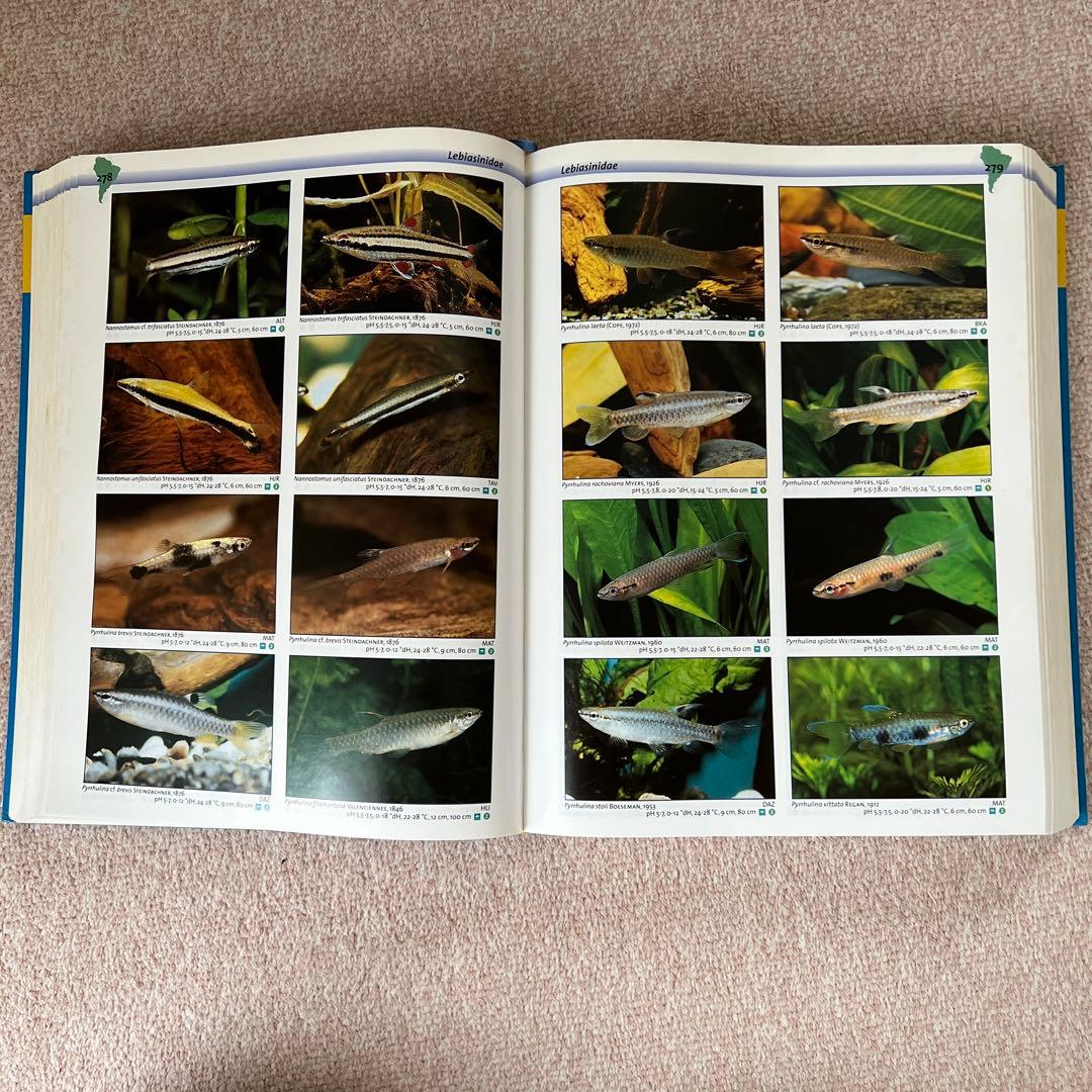 洋書　Freshwater Aquarium Fishes 淡水魚　大型本