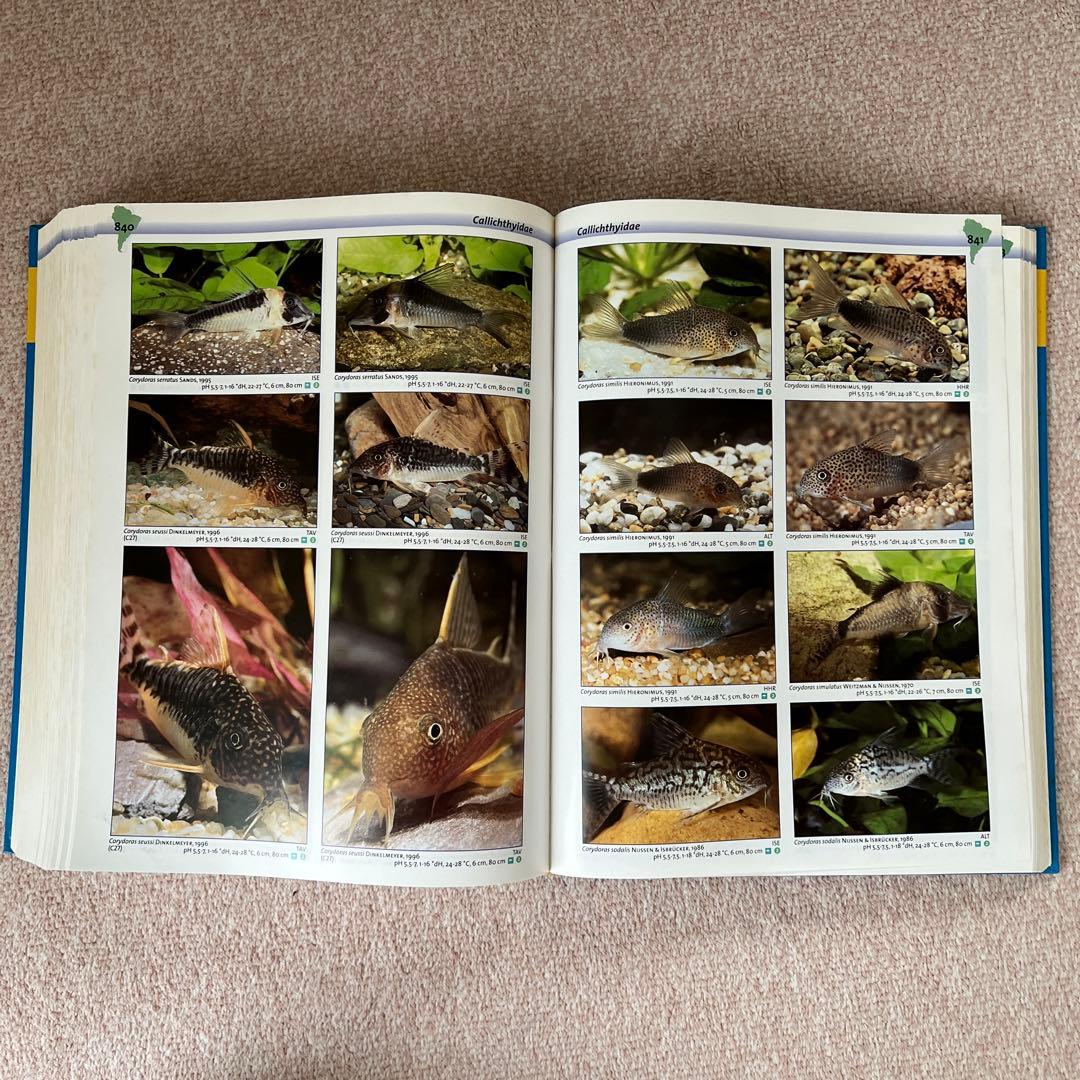 洋書　Freshwater Aquarium Fishes 淡水魚　大型本