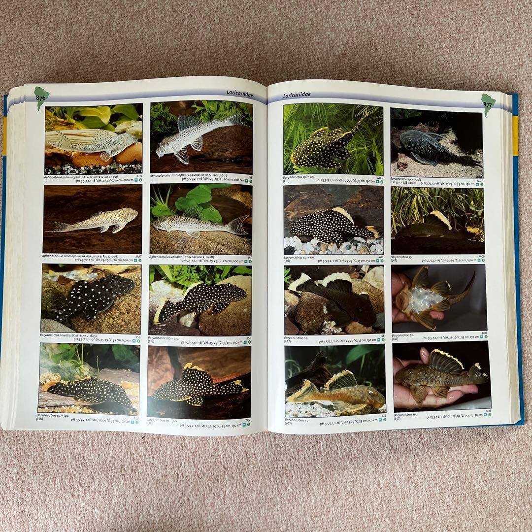 洋書　Freshwater Aquarium Fishes 淡水魚　大型本