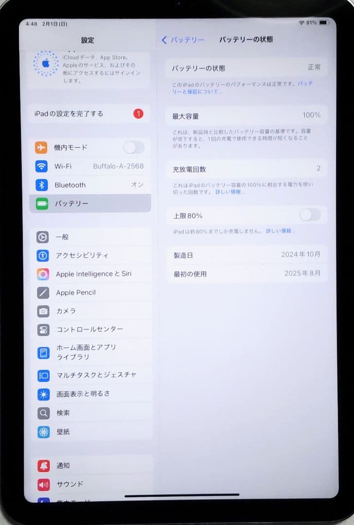 iPad mini第7世代256GB セルラー バッテリー100% 充電器付き