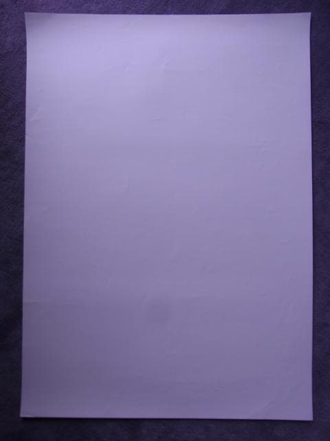 未使用品　非売品　ポスター　真・女神転生デビルチルドレン　ゲームボーイアドバンス