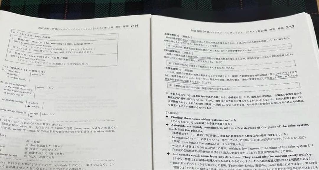 駿台　大学受験　英語　ドラゴンイングリッシュ　テキスト２冊　解答・解説プリント