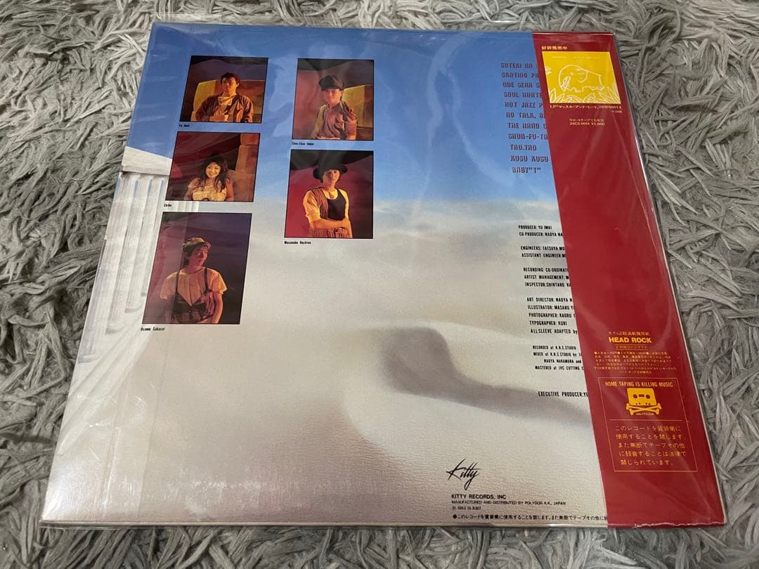 イミテーション IMITAION ハッピー・ハンティング LP