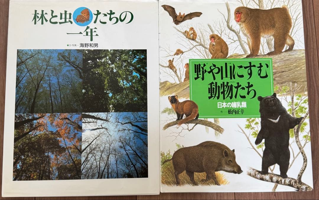 岩崎書店　絵本図鑑シリーズ　全３１巻