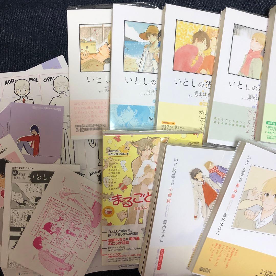 初版　いとしの猫っ毛　セット　雲田はるこ