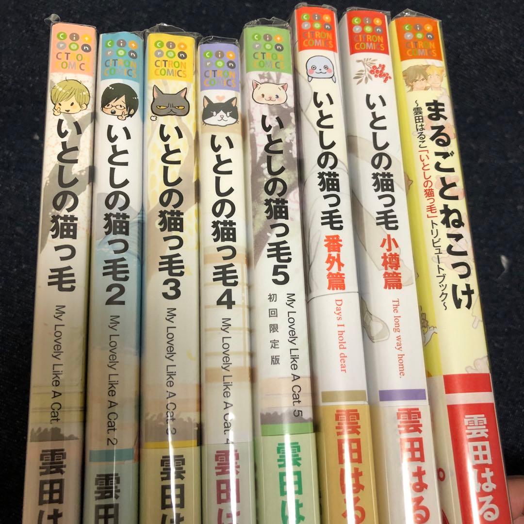 初版　いとしの猫っ毛　セット　雲田はるこ